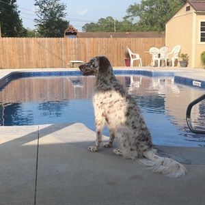 Meet your Posher, Suzy